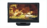 HD-500 with 5.0 inch monitor